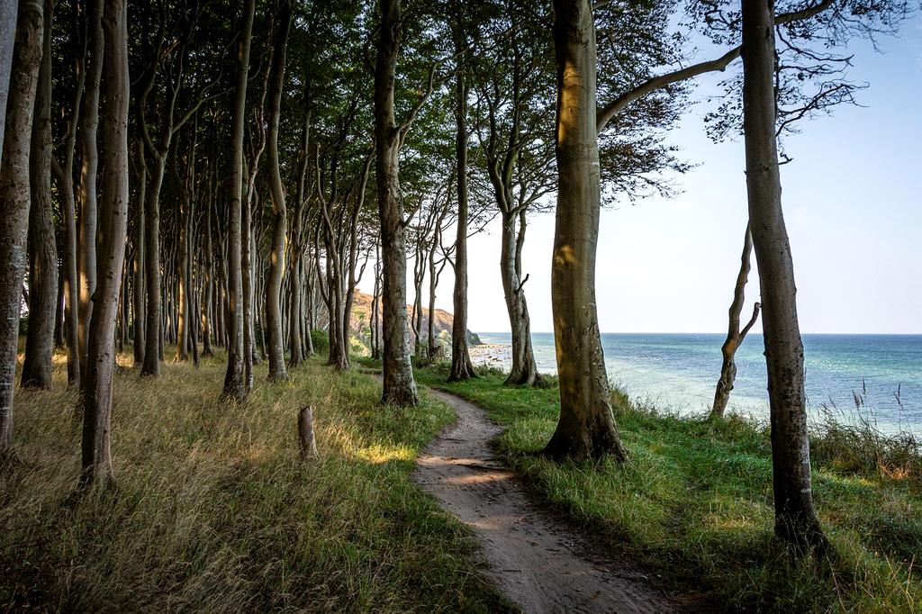 Person hiking on a sunrise mountain trail