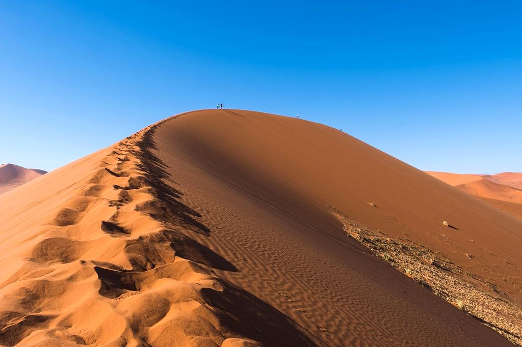 Golden desert dunes under blue sky with sparse vegetation