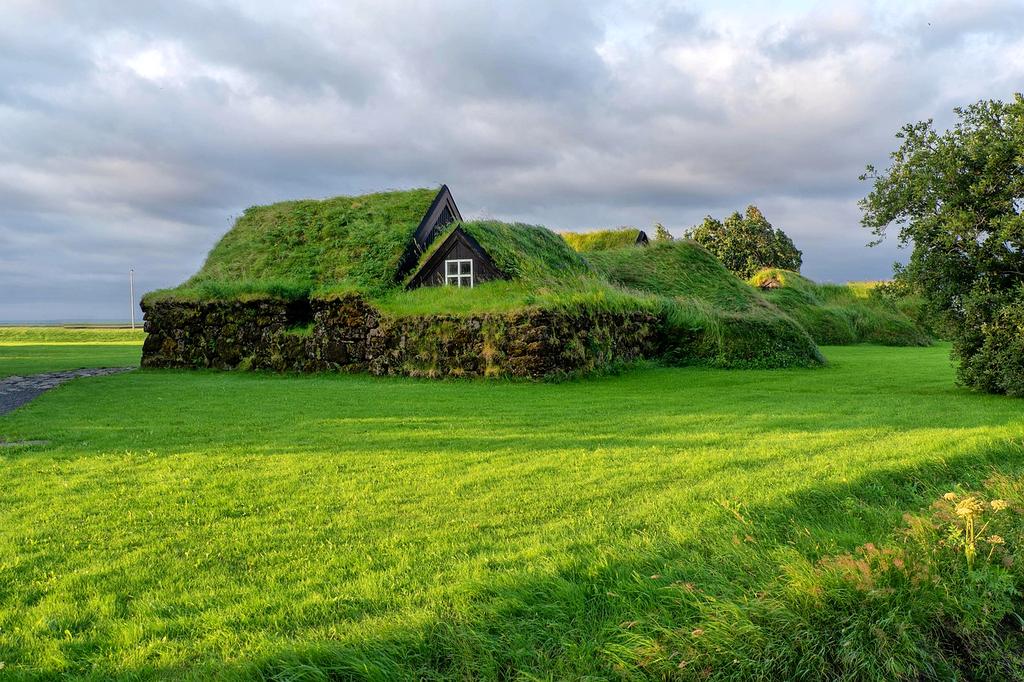 Solar panels on eco-lodge roof with lush green forest canopy in background