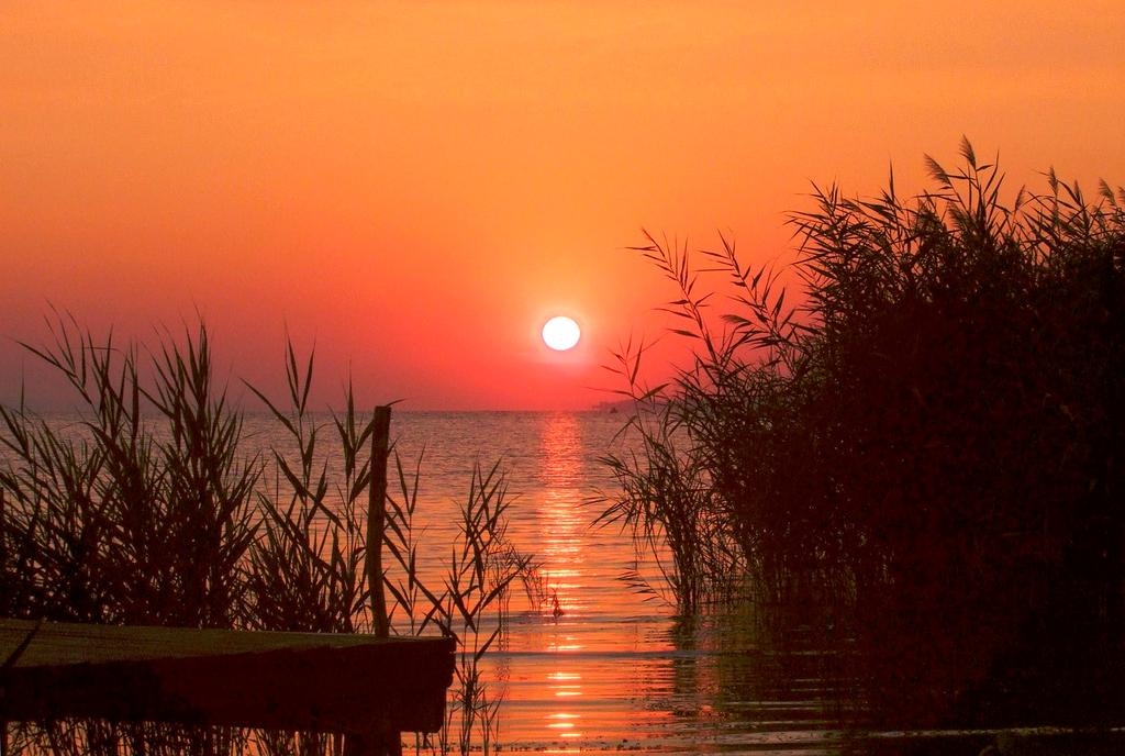 Traveler journaling at a scenic lakeside viewpoint