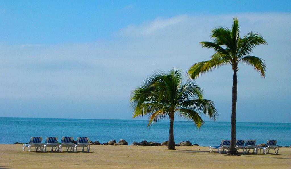 Daniel Lee - Marketing Manager