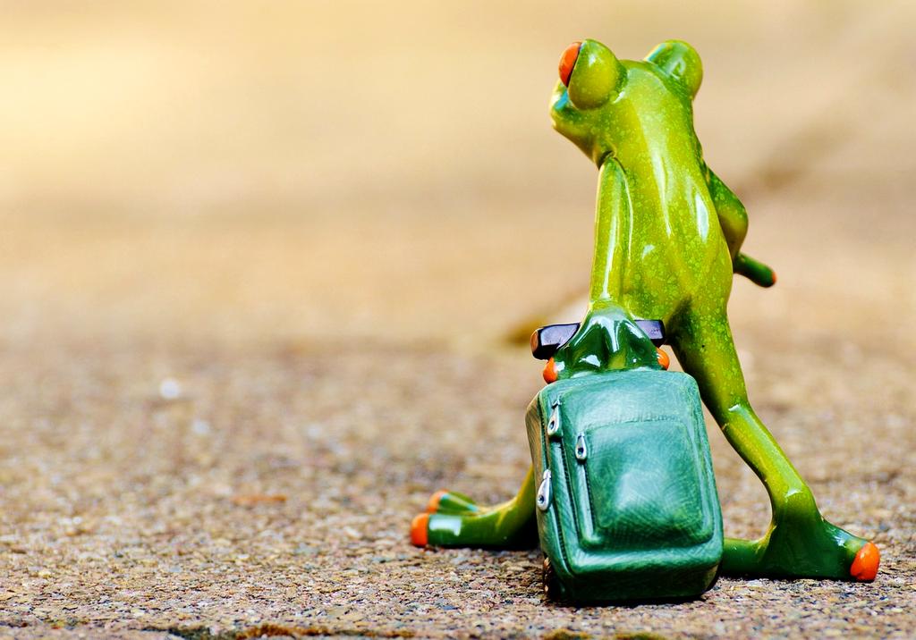 Luxury travel consultant reviewing personalized itinerary with mountain landscape backdrop